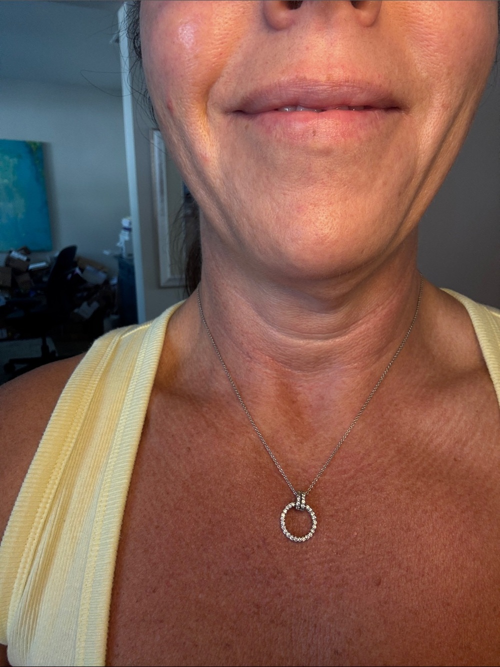 Silver toned CZ circle necklace